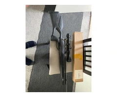 Gamo bolt action air rifle