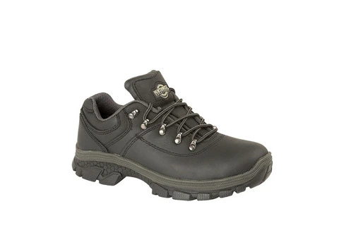Looking for the Perfect Walking Shoes