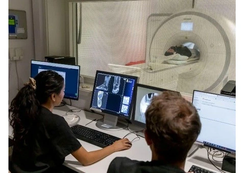 Private MRI in London - 2/2