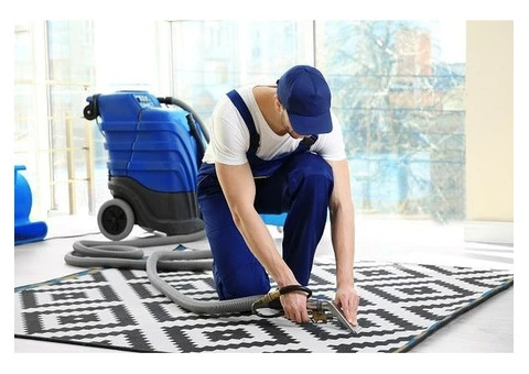 Expert Carpet Cleaning Services in Surrey - Transform Your Carpets Today!