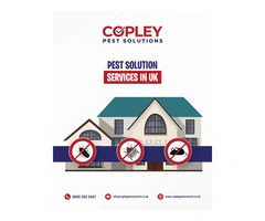 Fly monitoring & control
