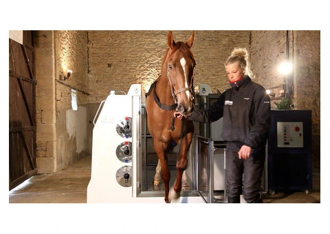 Affordable Horse Treadmill Price In UK - ECB Equine Spa - 2/2