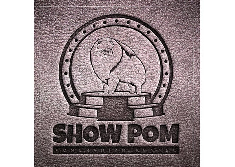 Logos design (for business & kennels), naming, corporate identity - 1/10