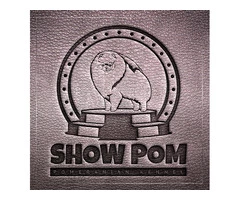 Logos design (for business & kennels), naming, corporate identity