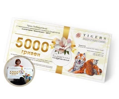 Design of business cards, calendars, entrance groups, catalogues, certificates, diplomas, flyers etc