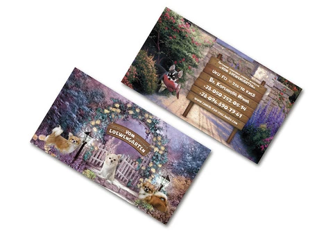 Design of business cards, calendars, entrance groups, catalogues, certificates, diplomas, flyers etc - 5/10