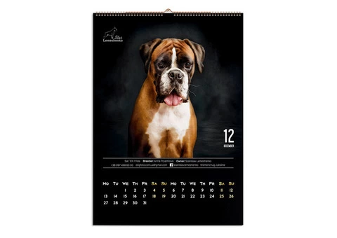 Design of business cards, calendars, entrance groups, catalogues, certificates, diplomas, flyers etc - 6/10