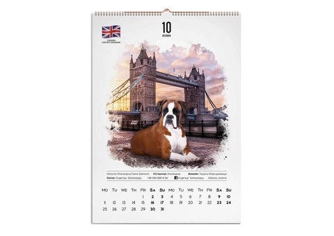 Design of business cards, calendars, entrance groups, catalogues, certificates, diplomas, flyers etc - 7/10