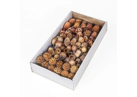 Floralcraft® Wired Natural Cones - 100 pcs | Michael Dark - 1/3