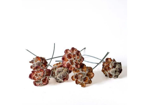 Floralcraft® Wired Natural Cones - 100 pcs | Michael Dark - 2/3