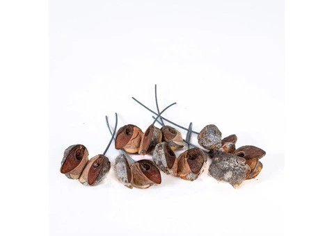 Floralcraft® Wired Natural Cones - 100 pcs | Michael Dark - 3/3