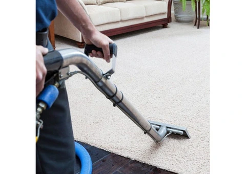 Expert Carpet Cleaning in Newcastle - Fresh, Clean, and Spotless!