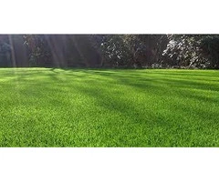 Premium Artificial Grass Wholesale in Bradford - Artificial Grass Wholesale