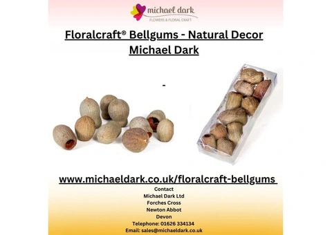 Floralcraft® Bellgums - Natural Decor Michael Dark - 2/2