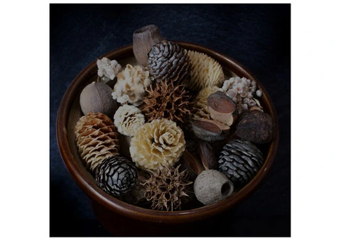 FLORALCRAFT® Platanus Cones - Natural | Michael Dark - 3/3