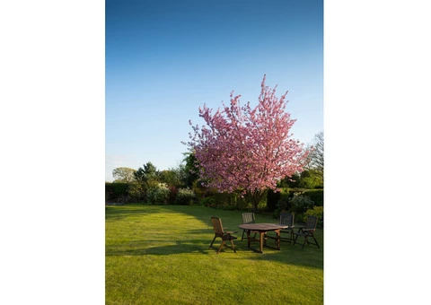 Local Gardeners - 1/8