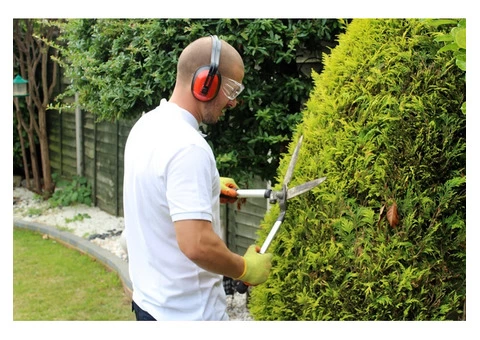 Local Gardeners - 3/8
