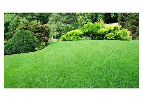 Local Gardeners - 6/8