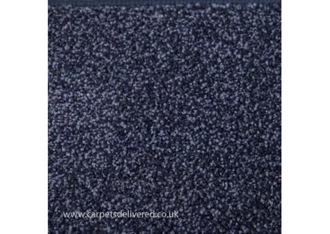 Luxurious Blue Carpet for Elegant Interiors - Carpet Delivered