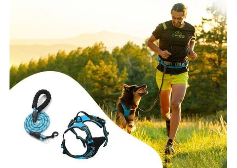 Heavy Duty Dog Harness: Comfort & Control for Your Furry Friend