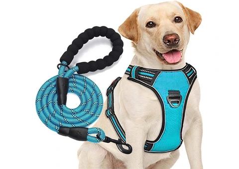 Heavy Duty Dog Harness: Comfort & Control for Your Furry Friend - 2/2