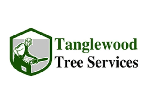 Experienced Tree Surgeon in Dundee - 2/4