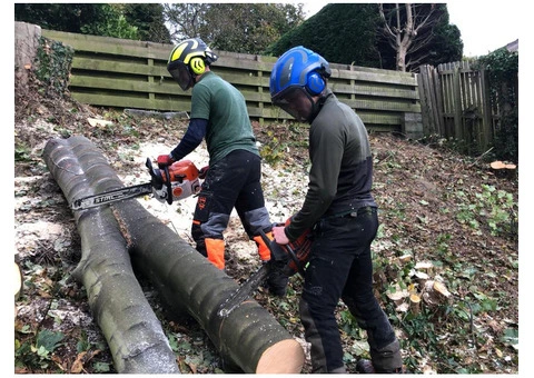 Experienced Tree Surgeon in Dundee - 4/4