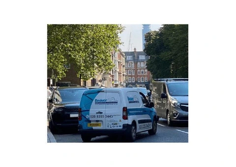 BEAVER HOUSE SERVICES LTD - Expert Bird Control in London