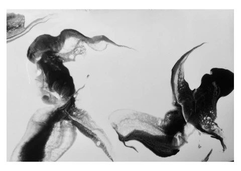 Resin Art (Beginners Introduction to Resin & Resin Art) - 9/9