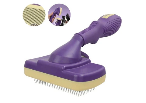 Shiny Coats Made Easy with the Best Slicker Brush