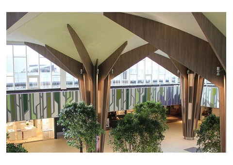 Transform Your Retail Store with Expert Space Planners Today - 4/6