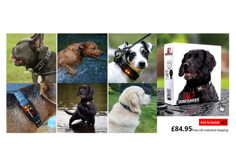 Best Dog Collar in the UK - Top Picks for Comfort and Style