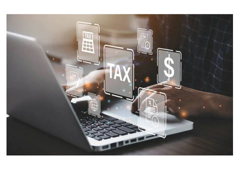 Top-Rated Professional Accountancy Services in Crawley