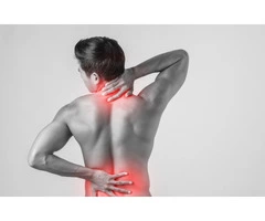 Granimals Online Physiotherapy, Sports Injury Rehabilitation Consultant