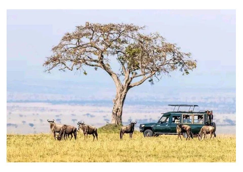 Best Of Kenya Tanzania Group Safari Tour - 1/6