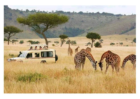Best Of Kenya Tanzania Group Safari Tour - 2/6