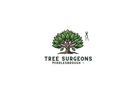 Tree Surgeons Middlesbrough - 1/5