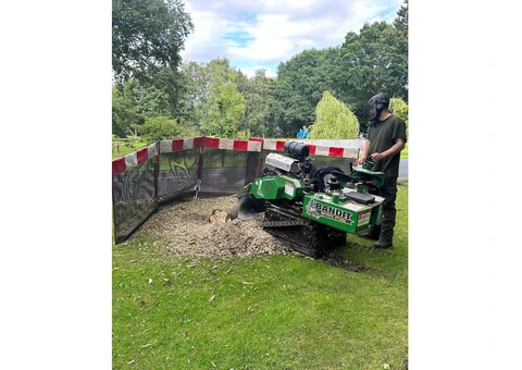 Tree Surgeons Middlesbrough - 3/5