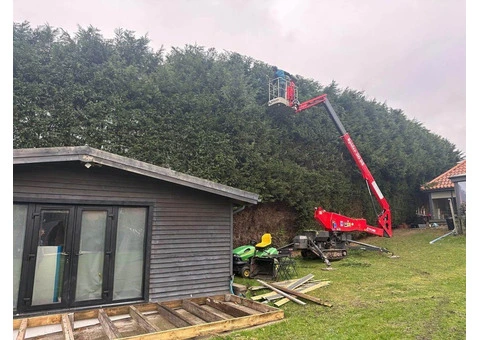Tree Surgeons Middlesbrough - 4/5