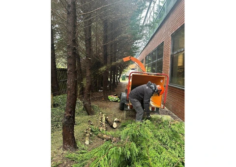 Tree Surgeons Middlesbrough - 5/5