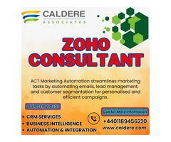 Zoho Customisation Experts | Caldere Consulting UK