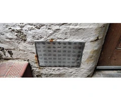 Pest Control Bromley