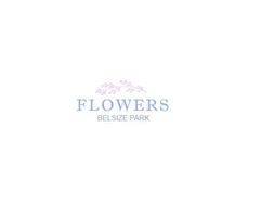 Flowers Belsize Park