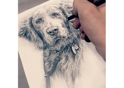 Bespoke Hand-Painted Dog Portraits in East Sussex