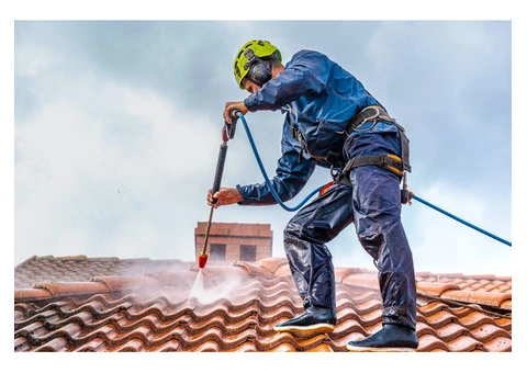 Revitalize Your Roof with WB Cleaning!