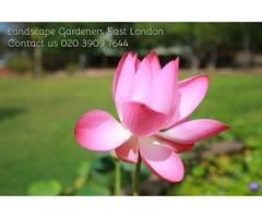 Landscape Gardening in East London