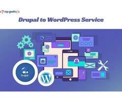 Choose HireWPGeeks for Expert Drupal to WordPress Transition Services