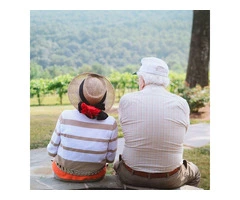 Expert Estate Planning Services in the UK – Secure Your Future Today