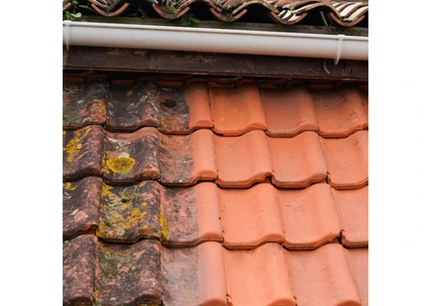 Gutter Cleaning in Poole – Professional Service at Affordable Rates!