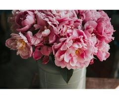 What to Write on Sympathy Flowers